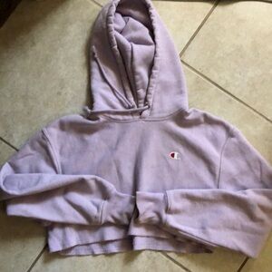 Champion Reverse Weave Cropped Hoodie